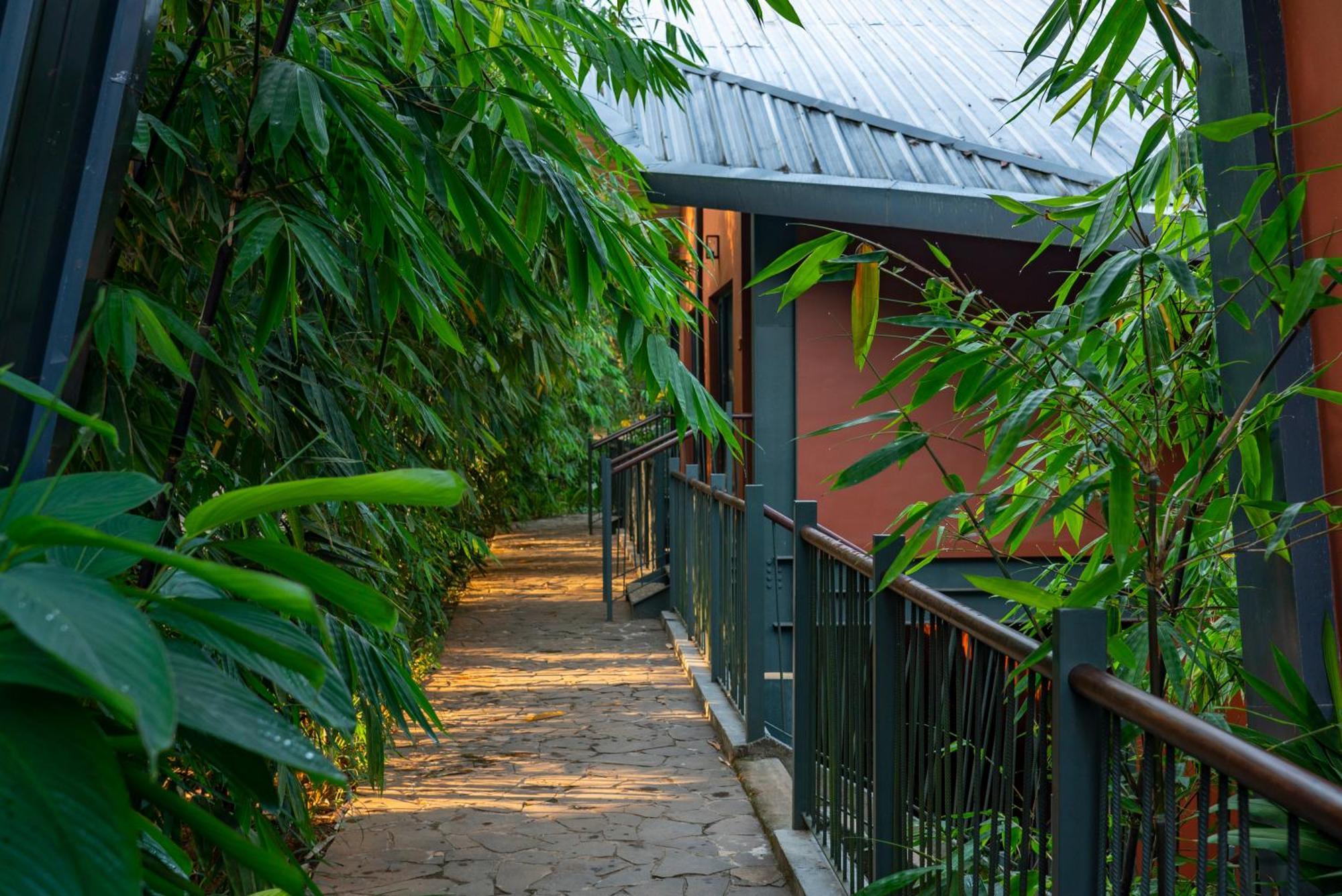 Vyna Hillock Resort And Spa Vythiri Extérieur photo